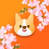 完美隐私视频播放器